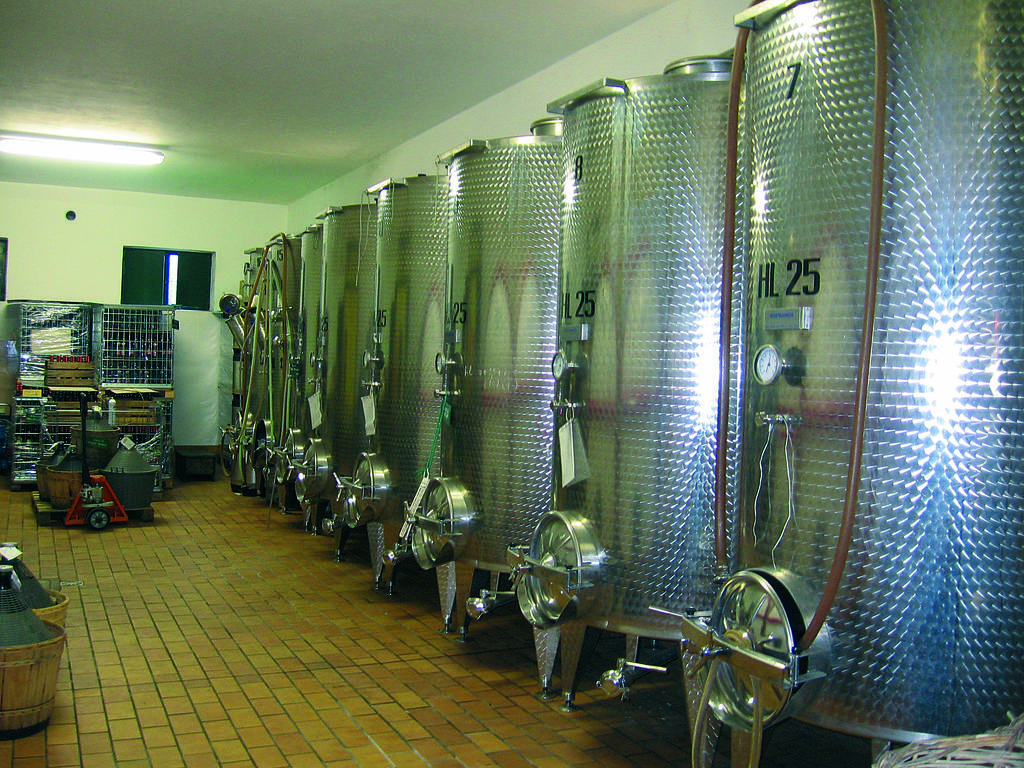 Agriturismo Domus Rustica Кормонс Экстерьер фото